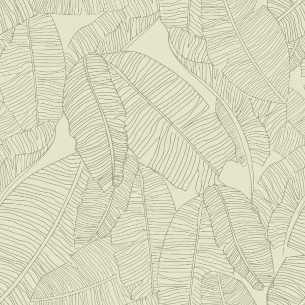 Banana leaf wallpaper