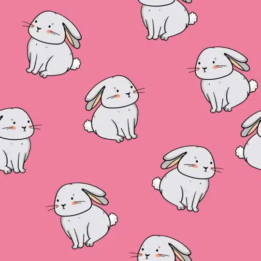 bunny wallpaper tumblr