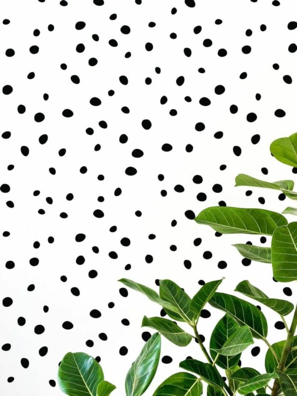 Dalmatian wallpaper for walls
