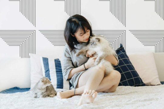 Large geometric square wallpaper for walls