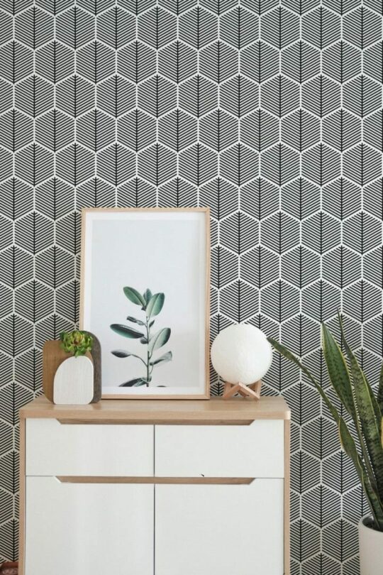 Black and white hexagon peel stick wallpaper