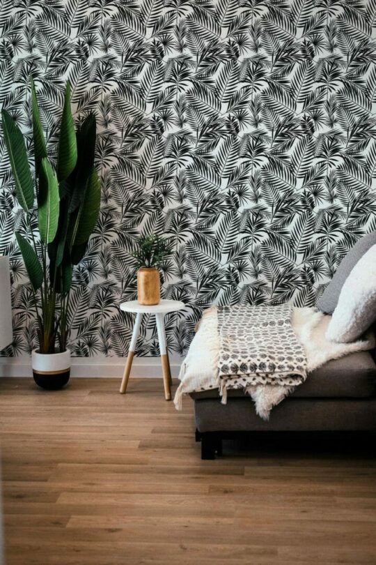 Black and white tropical leaf peel stick wallpaper