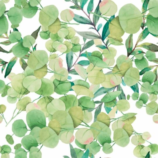 Eucalyptus leaves removable wallpaper