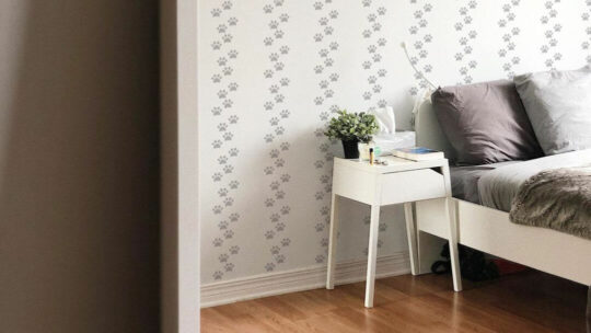 Dog paw peel and stick wallpaper