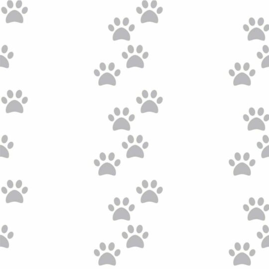 Dog paw removable wallpaper
