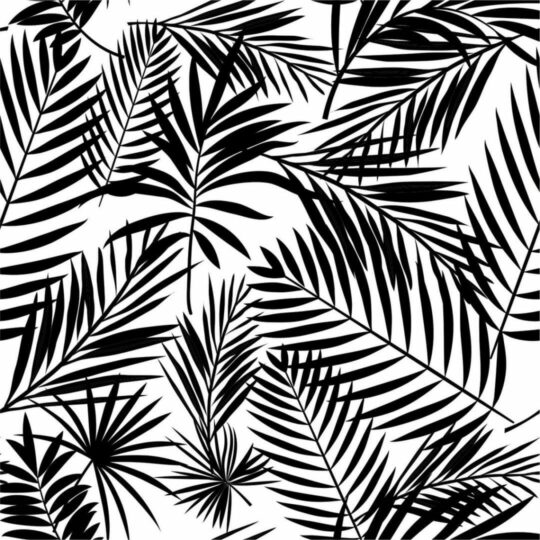 Black and white tropical leaf removable wallpaper