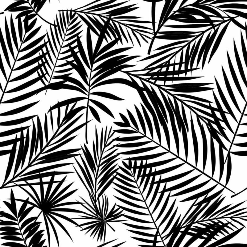 Black and white tropical leaf Wallpaper - Peel and Stick or Non-Pasted