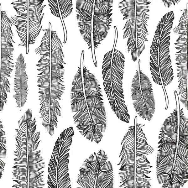 Black feather removable wallpaper
