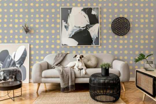 Dandelion flower self adhesive wallpaper