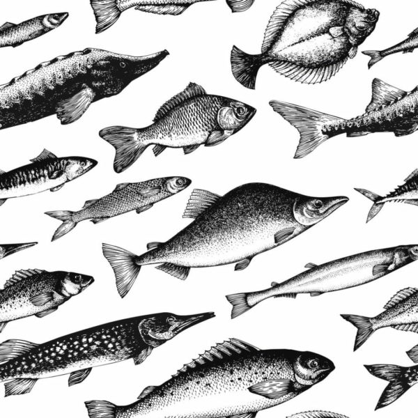Fish theme wallpaper