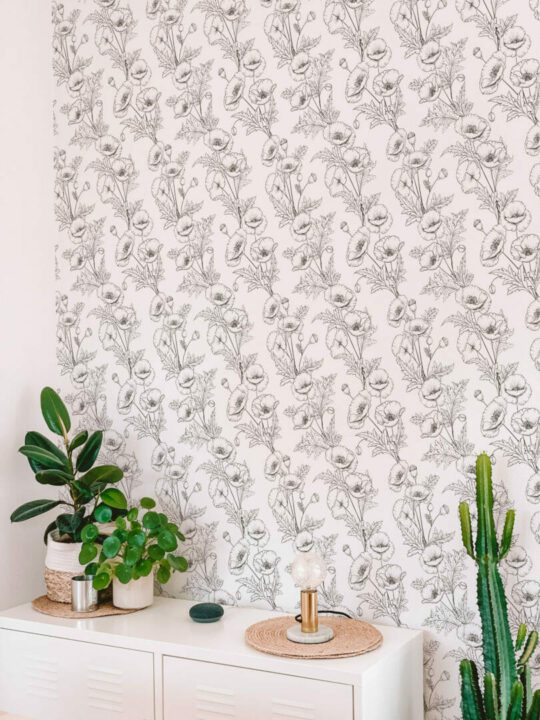 Poppy peel and stick removable wallpaper