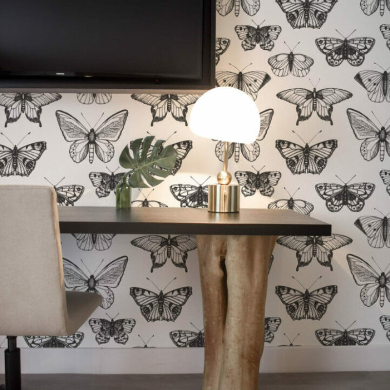 Dark Vintage Butterfly Wallpaper Perfect to Add Charm to Any 