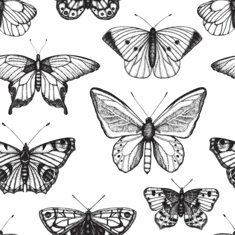 Dark Vintage Butterfly Wallpaper Perfect to Add Charm to Any 