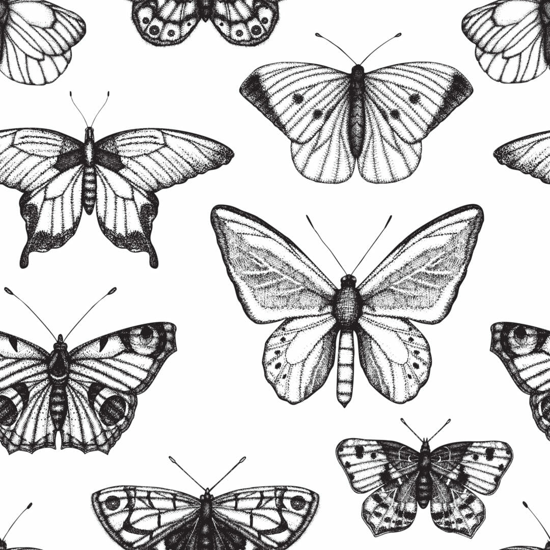 Black and white butterfly removable wallpaper