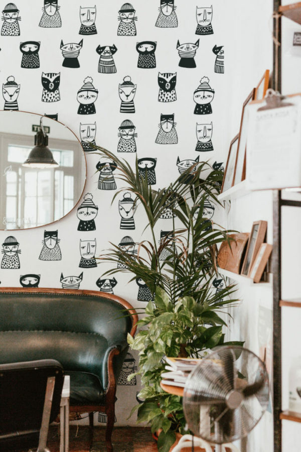 Black and white cat wallpaper for walls