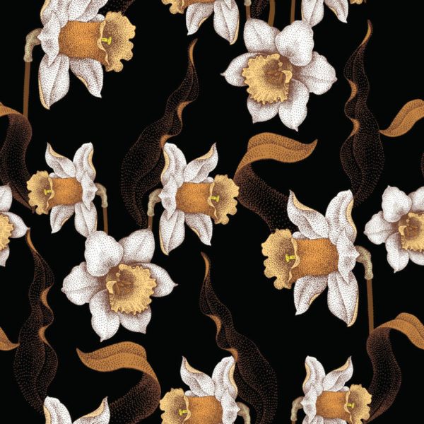 Vintage daffodil removable wallpaper