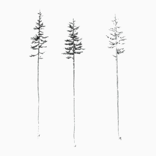 Black and white pine tree removable wallpaper