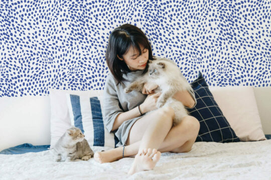 Blue animal print wallpaper for walls