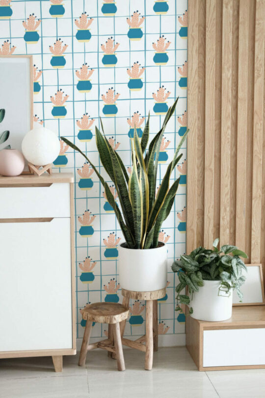 Aesthetic cactus temporary wallpaper