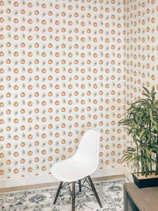 Pumpkin peel stick wallpaper