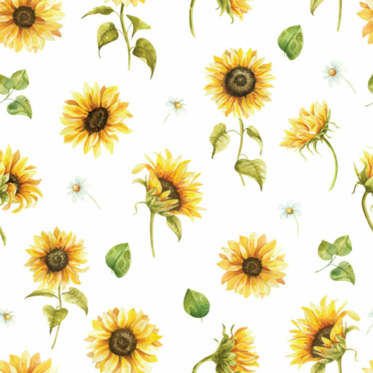 Sunflower removable wallpaper
