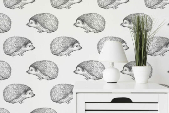 Hedgehog temporary wallpaper