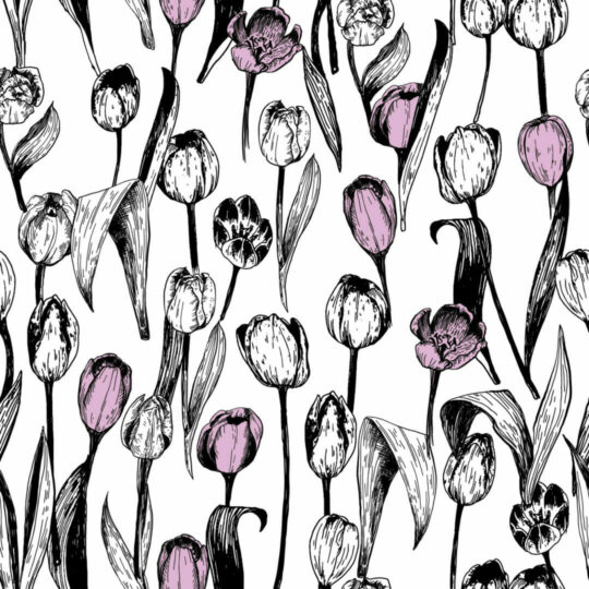 Tulip removable wallpaper