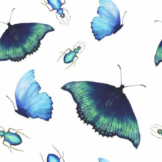Blue butterfly removable wallpaper