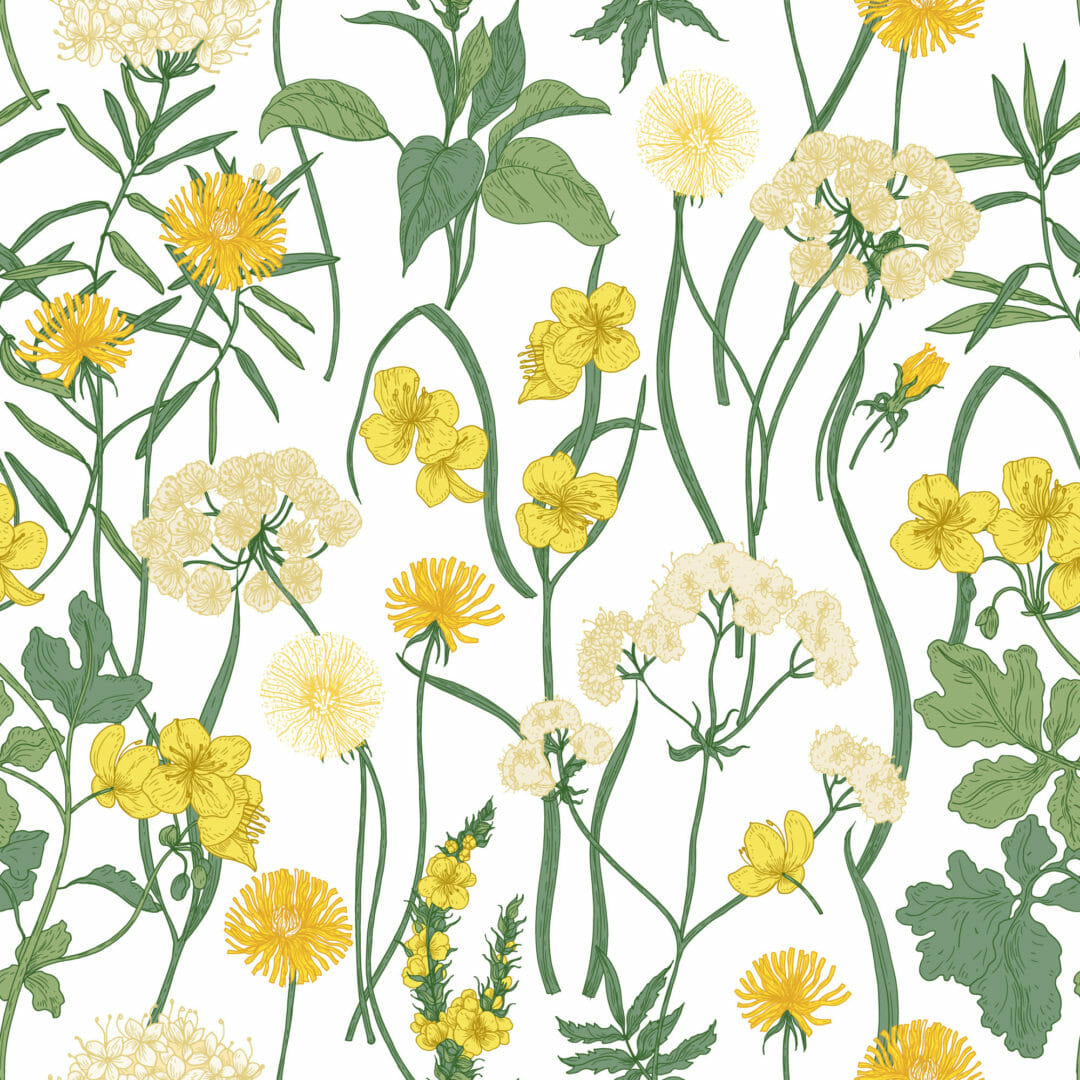 Wildflower Wallpaper Images  Free Download on Freepik