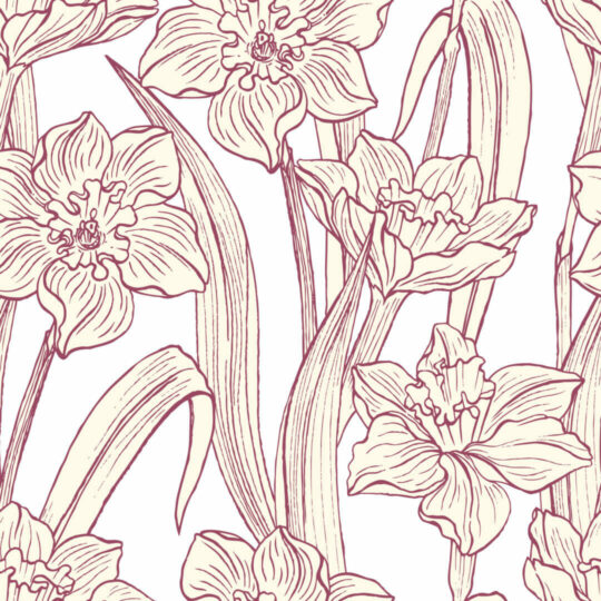 Daffodil removable wallpaper