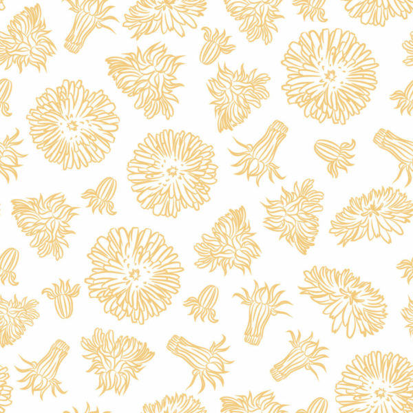 Yellow dandelion removable wallpaper
