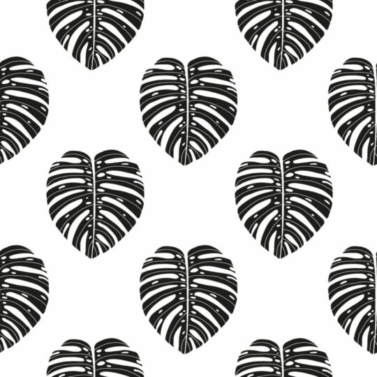 Black and white monstera leaf removable wallpaper