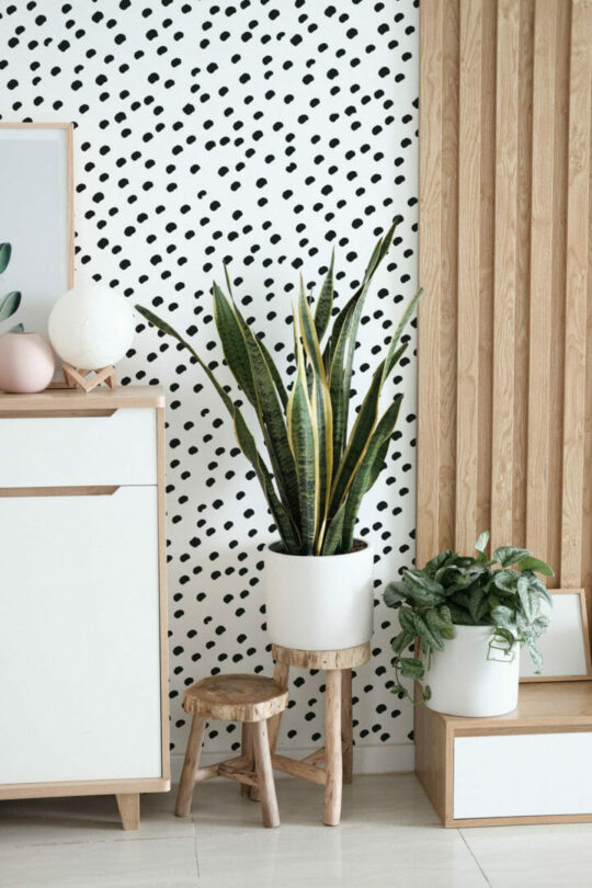 Dotted peel stick wallpaper