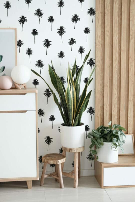 Palm tree self adhesive wallpaper