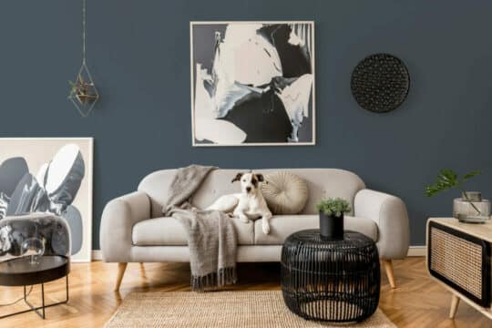 Charcoal solid color peel and stick wallpaper