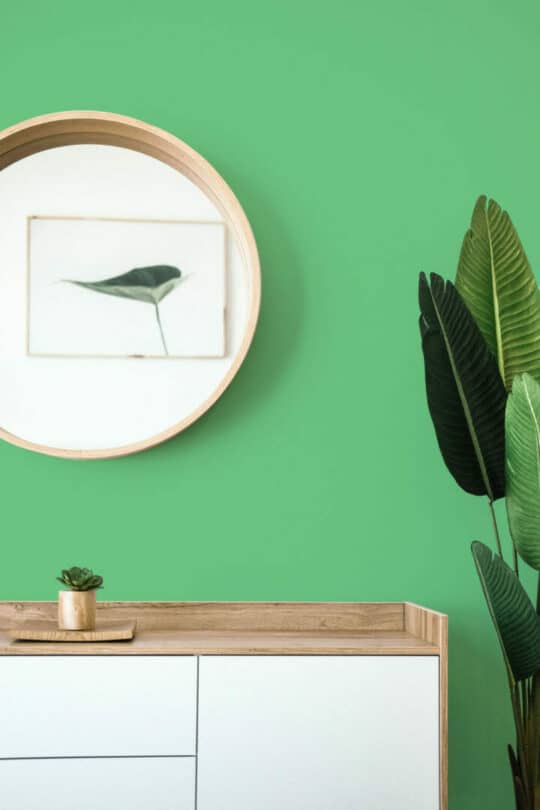 Emerald green solid color stick on wallpaper