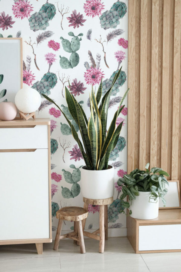 Cactus flower stick on wallpaper