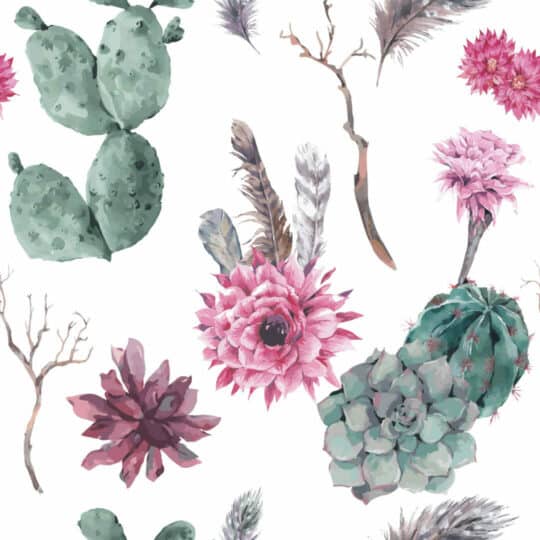Cactus flower removable wallpaper