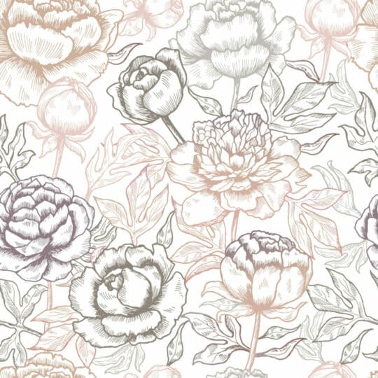 Peony flower removable wallpaper