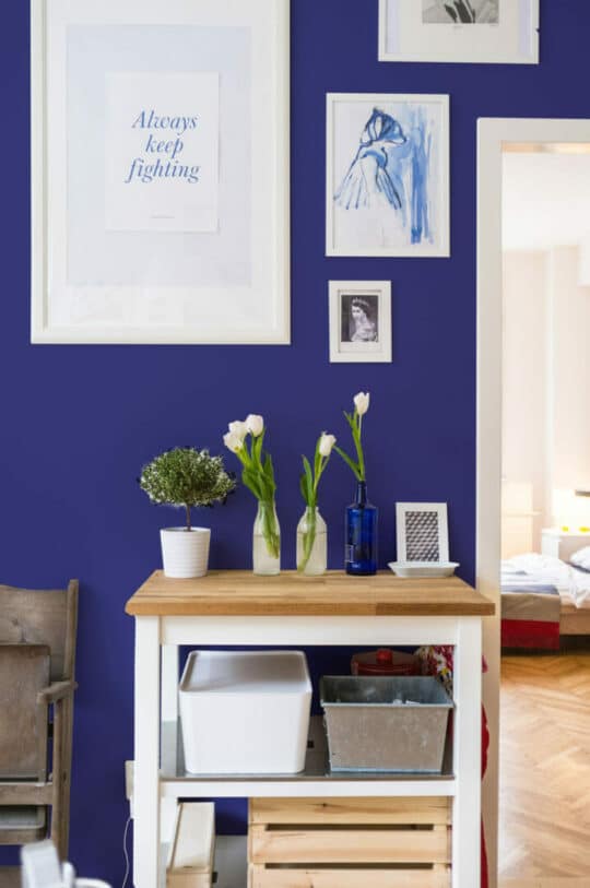 Blue magenta solid color peel stick wallpaper