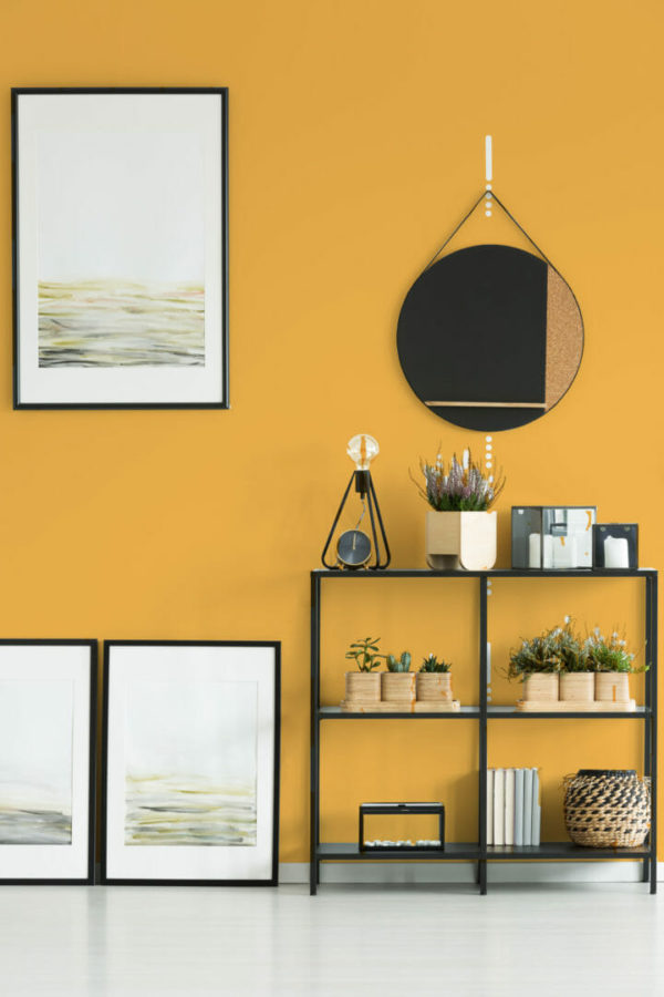 Orange solid color wallpaper for walls