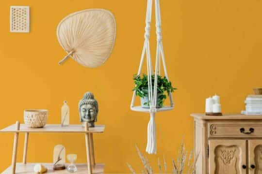 Orange solid color peel and stick removable wallpaper