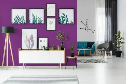 Purple solid color temporary wallpaper