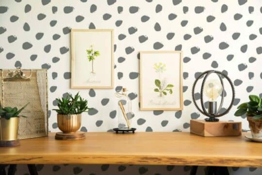 Dalmatian spot wallpaper for walls