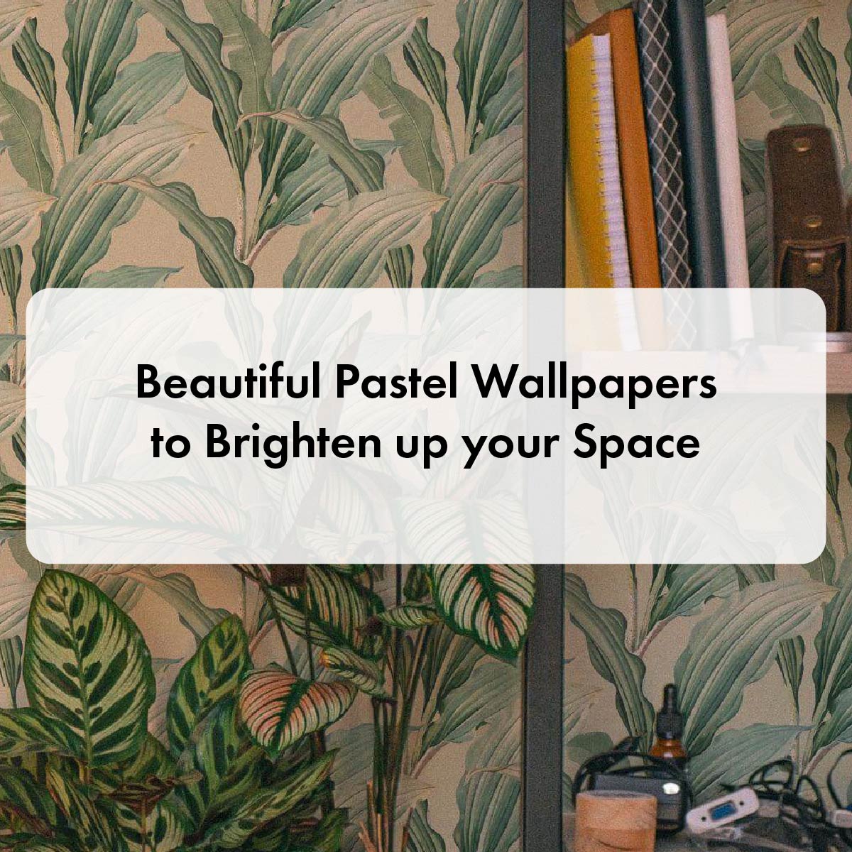 Beautiful Pastel Wallpapers to Brighten up your Space