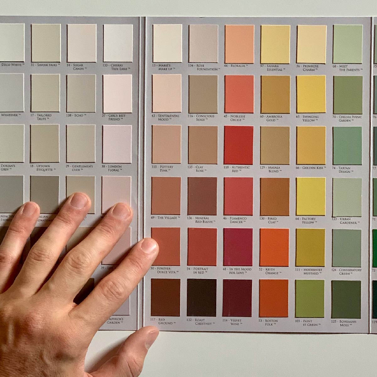 The Role of Color Psychology in Interior Design