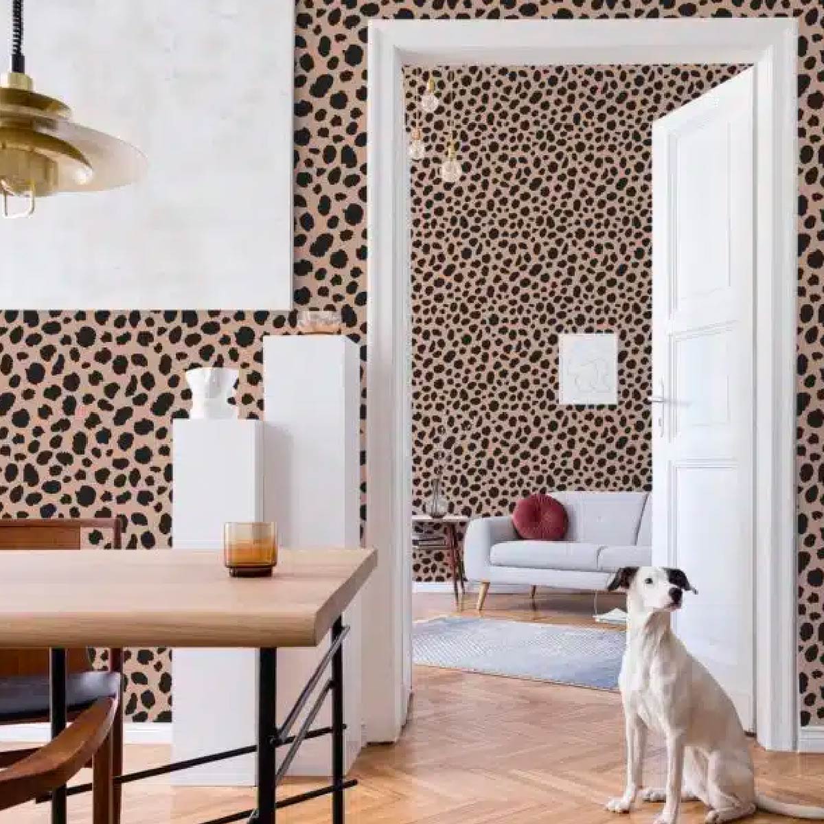 Leopard vs. Cheetah Print – What’s the Difference?