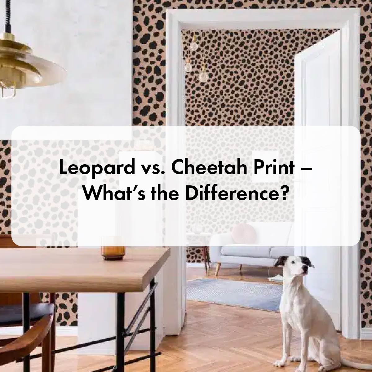 Leopard vs. Cheetah Print – What’s the Difference?