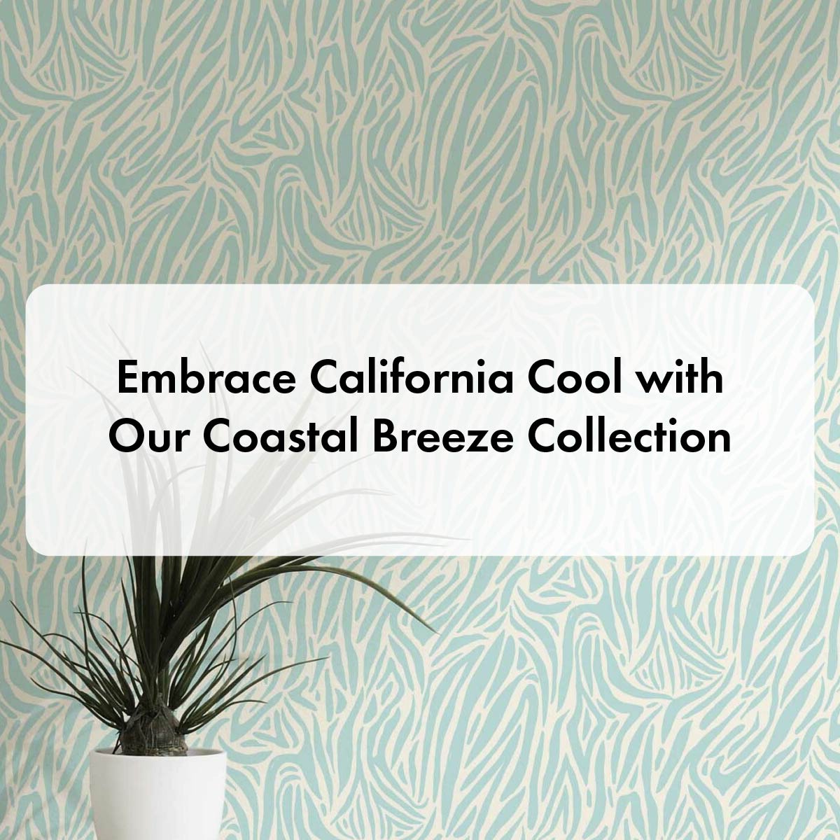Embrace California Cool with Our Coastal Breeze Collection
