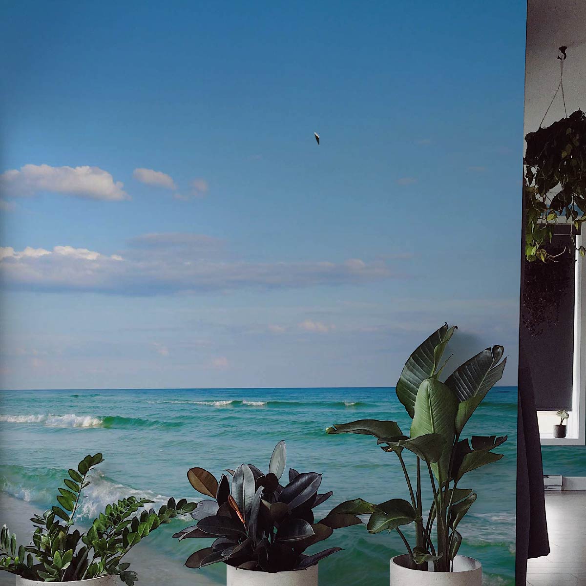 Select Introducing The Print-On-Demand Wall Murals Creator Introducing The Print-On-Demand Wall Murals Creator